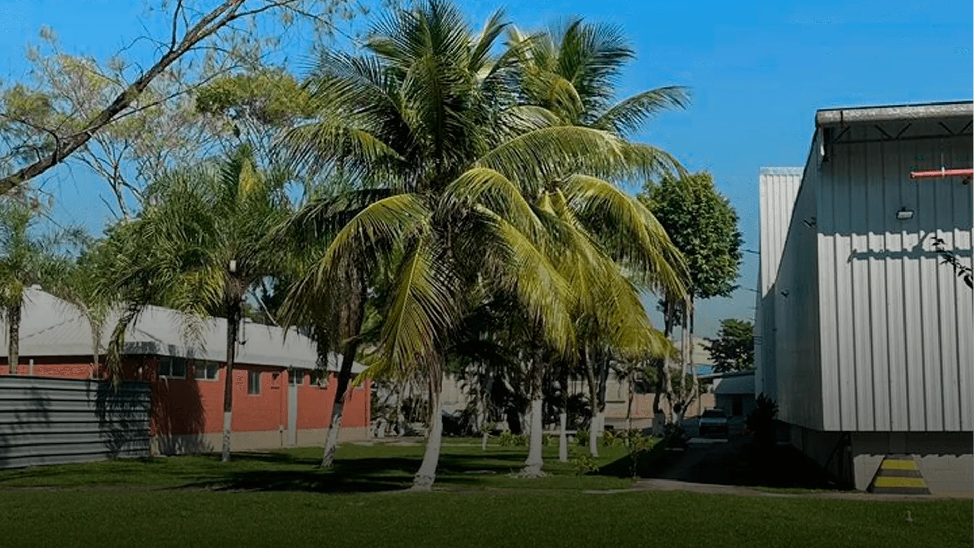 MBA Leão Dutra III